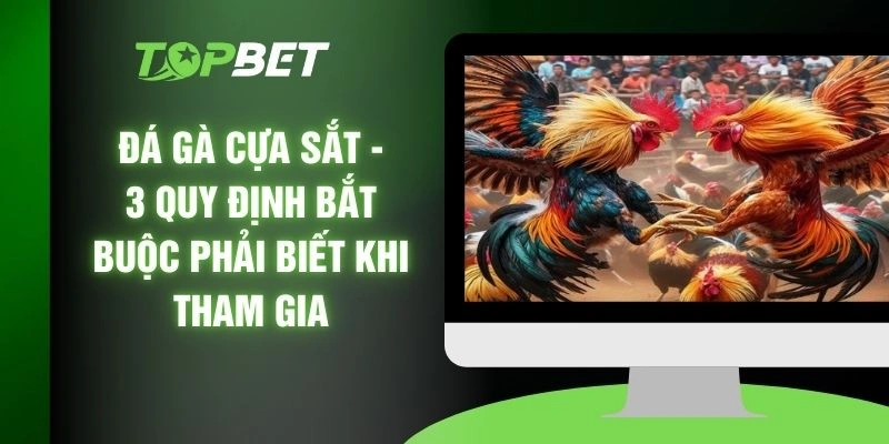 Đá Gà Cựa Sắt - 3 Quy Định Bắt Buộc Phải Biết Khi Tham Gia