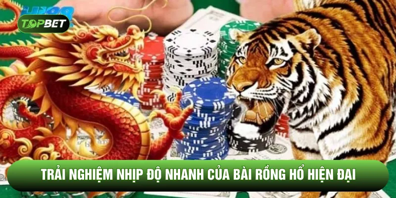 Trải nghiệm nhịp độ nhanh của bài rồng hổ hiện đại